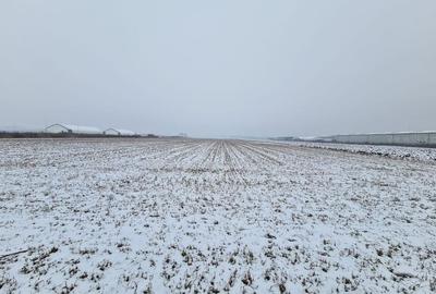 Teren industrial de vanzare in Stupini - 2