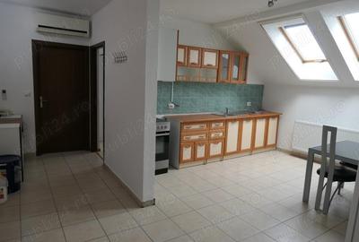 Apartament 2 camere decomandat, mobilat si utilat, central - Podgoria - 2