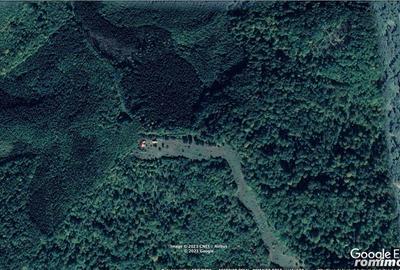 Teren Extravilan in mijlocul naturii. - 19