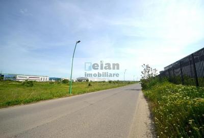 Teren Construcții intravilan de 17400 mp, în Manolache - 7