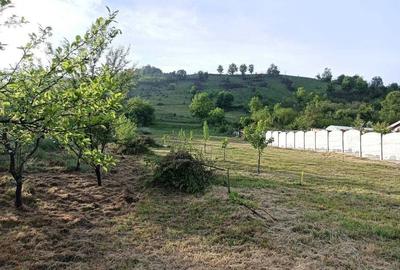Teren Construcții intravilan de 5333 mp, în Periferie - 6