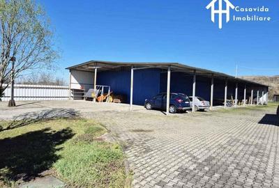 De inchiriat hale ?i showroom in Lugoj - 5