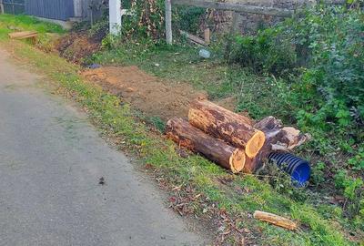 Casă cu Teren 2900 Mp în Iaz - 2