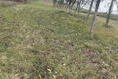 Teren de 2600 mp, în Alparea - 3