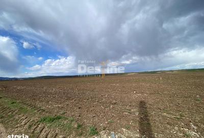 Teren de 900 mp, în Dumbrava - 6