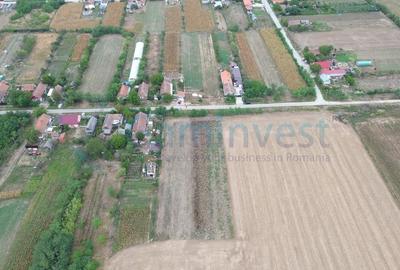 Teren Construcții intravilan de 1769 mp, în Bicaci - 8