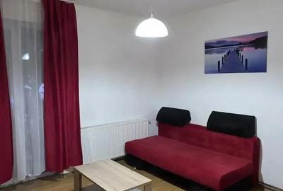 Garsonieră decomandată în Turnișor - 5
