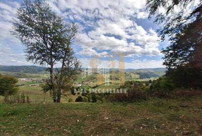 Teren de 40000 mp, în Central - 23