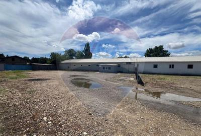 Spa?iu industrial de inchiriat FOCSANI - 1