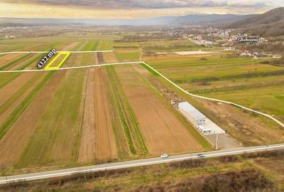 Teren de 4322 mp, în Mănești - 6