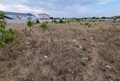 Teren de 10000 mp, în Giurgiului