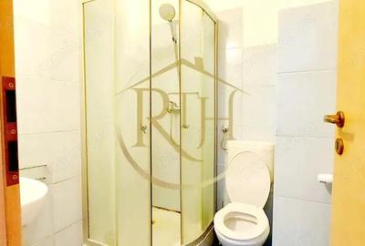 Oferim spre inchiriere, apartament 1 camera, studio, Zona Soarelui, parcare - 12