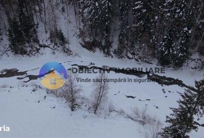 Teren de 2283 mp, în Tarcău - 5