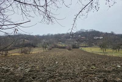 Casă în Zăuan - 3