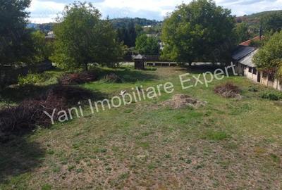 Teren de vanzare in Curtea de Arge?. - 3