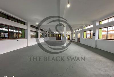 Spațiu comercial, de 800 mp, în Provița de Jos - 2
