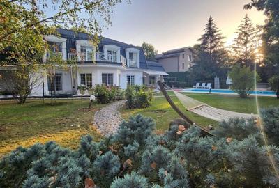 Vila individuala, teren 3000 mp, Iancu Nicolae - 27