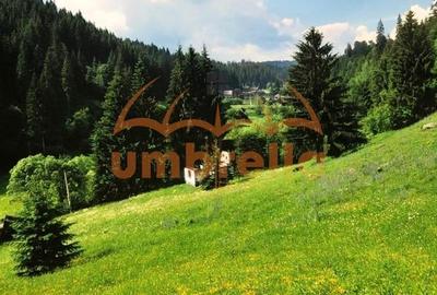 TEREN DE VANZARE IN VARSAG HARGHITA - 12