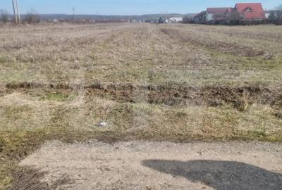 Teren în Lipănești