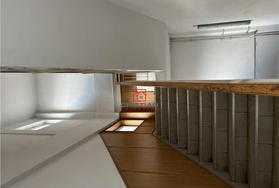 Spațiu comercial, de 3,000 mp, în Rahova - 24