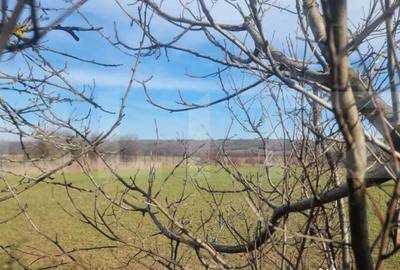 Teren în Lipănești