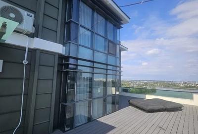 Penthouse cu 5 camere decomandat, mobilat în Lacul Tei - 4