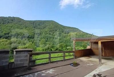 Casă cu Teren 5000 Mp în Surduc - 2