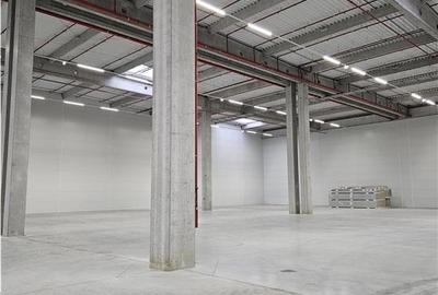 Spatii Industriale - 9500 mp - Logistica - Productie - Depozitare - Distributie - 6