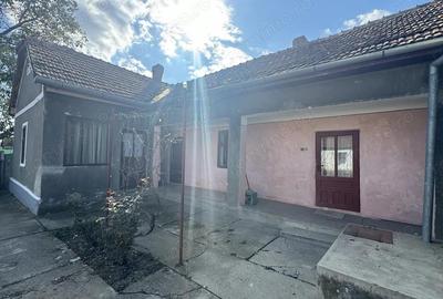 Casa de vanzare in Tisa Noua, teren generos - 18