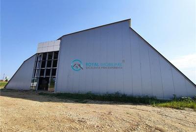 Royal Imobiliare - Inchirieri Spatii industriale/ Hale - 7