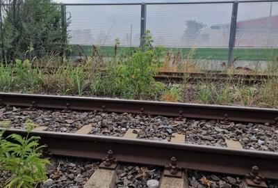 Otopeni langa linia de centura teren intravilan 1400 mp, deschidere 22 ml - 6