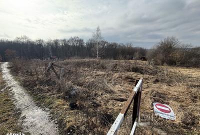 Teren de 3752 mp, în Făget - 2