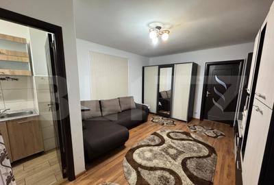 Garsoniera de inchiriat, 32 mp, Brazda lui Novac - 3