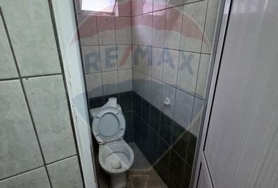 Ansamblu casa de locuit, hala productie ,spatiu de birouri si teren - 17