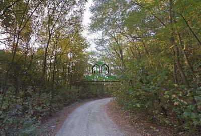 Teren Ramnicu Valcea / 28 Ha - 4