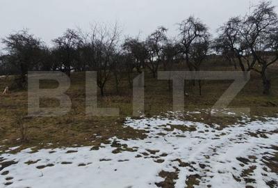 Spațiu comercial, în Cheia - 4