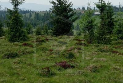 Vanzare Teren – Risca, Comuna Belis - 2