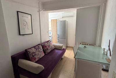 Garsonieră decomandată în Nufărul