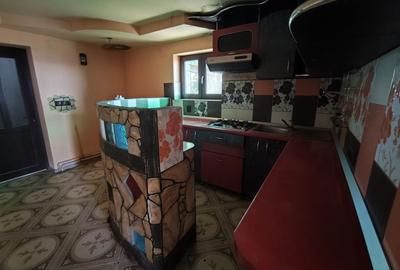 Casă cu 3 camere în Valea Crișului - 5