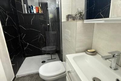 Apartament cu 3 camere în Calea Severinului - 9