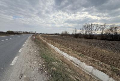 Teren agricol extravilan de 3618 mp, în Periferie - 1