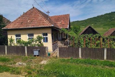 Casă cu 3 camere cu Teren 2900 Mp în Moișa - 1