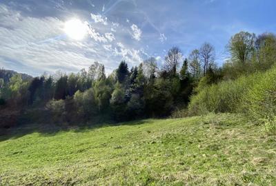Teren panoramic insorit, utilitati, panta mica si padure, turism sau vacanta - 4