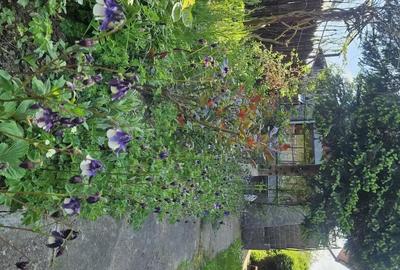 Casă cu 4 camere cu Teren 1300 Mp în Dițești - 10