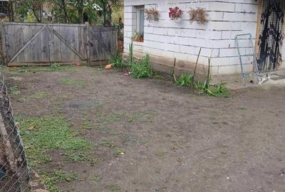 Casă cu 2 camere cu Teren 700 Mp în Saschiz - 7