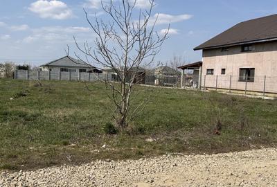 Teren de 1000 mp, în Sântandrei