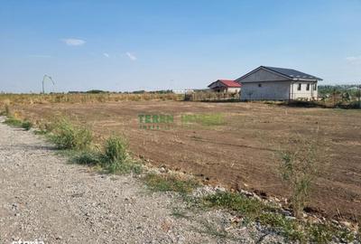 Teren de 540 mp, în Frumușani