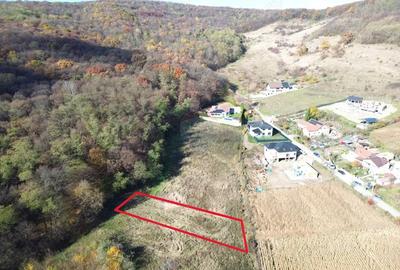 Teren de vanzare zona Wevern, Medias 1.222 mp langa padure - 2