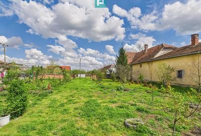 Teren 1300 mp, Beregsau Mare - 5