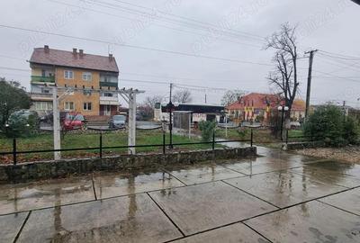 Spațiu comercial, de 110 mp, în Seleuș - 4